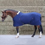 Horse Rug Manufacturer - OEM/ODM Custom Turnout Stable Combo Blanket