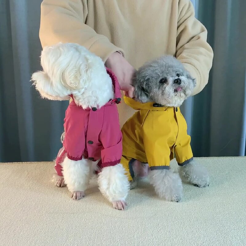 Dog Rain Coat Manufacturer - OEM/ODM Custom Waterproof Puppy Clothing