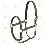 Equestrian Set Manufacturer - OEM/ODM Custom Horse Racing Products Rug