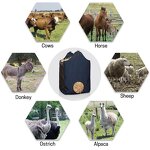 Hay Bag Manufacturer - OEM/ODM Custom Slow Feeder Large Capacity Equine