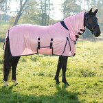 Horse Fly Rug Manufacturer - OEM/ODM Custom Professional Comfortable Breathable
