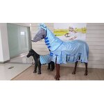Mini Horse Rug Manufacturer - OEM/ODM Custom Summer Mesh Equine Sheets