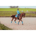 English Saddle Pad Manufacturer - OEM/ODM Custom Satin Fabric Dressage Blue