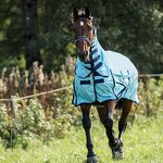 Horse Fly Rug Manufacturer - OEM/ODM Custom Professional Comfortable Breathable