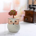 Owl Plant Pot Manufacturer - OEM/ODM Custom Mini Ceramic Succulent Decoration