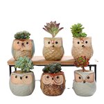 Owl Plant Pot Manufacturer - OEM/ODM Custom Mini Ceramic Succulent Decoration