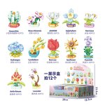 Dinosaur Building Toy Manufacturer - OEM/ODM Custom 12pcs Tyrannosaurus 3D Puzzle