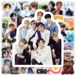 Stray Kids Sticker Manufacturer - OEM/ODM Custom 50pcs Waterproof Skzoo Cartoon