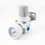 Air Regulator Valve Manufacturer - OEM/ODM Custom SMC Type AR2000-02 with Gauge