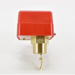 Water Flow Switch Manufacturer - OEM/ODM Custom HFS Series 1/2-1'' Brass Paddle