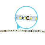 LED Light Strip Manufacturer - OEM/ODM Custom SMD 2835 12V/24V 120 Beads