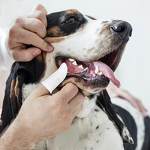 Work Safety Gloves Manufacturer - OEM 10 Gauge Washable Polyester Cotton