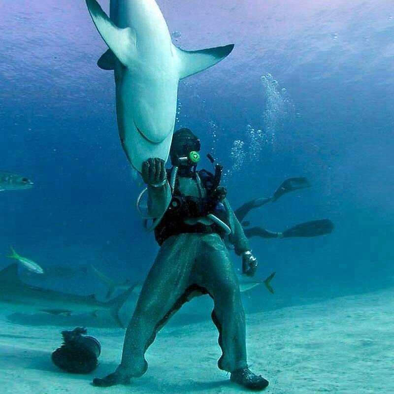 Anti Bite Suit Manufacturer - OEM Cut Resistant Stainless Steel Mesh Shark Suit