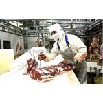 Butcher Aprons Manufacturer - Wholesale China Products for Meat Processing