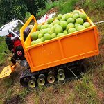 Crawler Tractor Factory - OEM S Tracked Diesel Engine Mini Gearbox