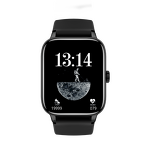 Smart Watch Manufacturer - OEM/ODM Custom LOGO TW2 NFC BT Call Smartwatch