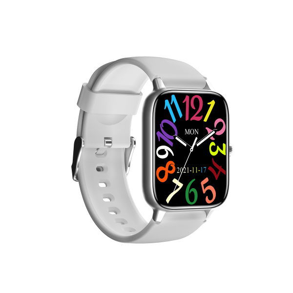 Smart Watch Factory - OEM/ODM TW2 1.8 Inch Screen BT Call NFC Smartwatch