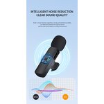 Wireless Lapel Microphone Manufacturer - OEM/ODM 2Pack Type C Phone 2 in 1