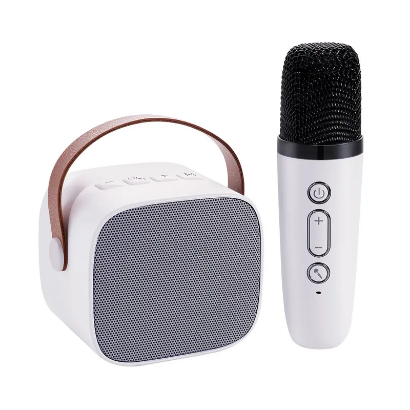 Karaoke Machine Factory - OEM/ODM Portable Karaoke Speaker with Wireless Microphones