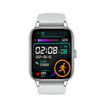 Smart Watch Manufacturer - OEM/ODM Custom LOGO TW2 NFC BT Call Smartwatch
