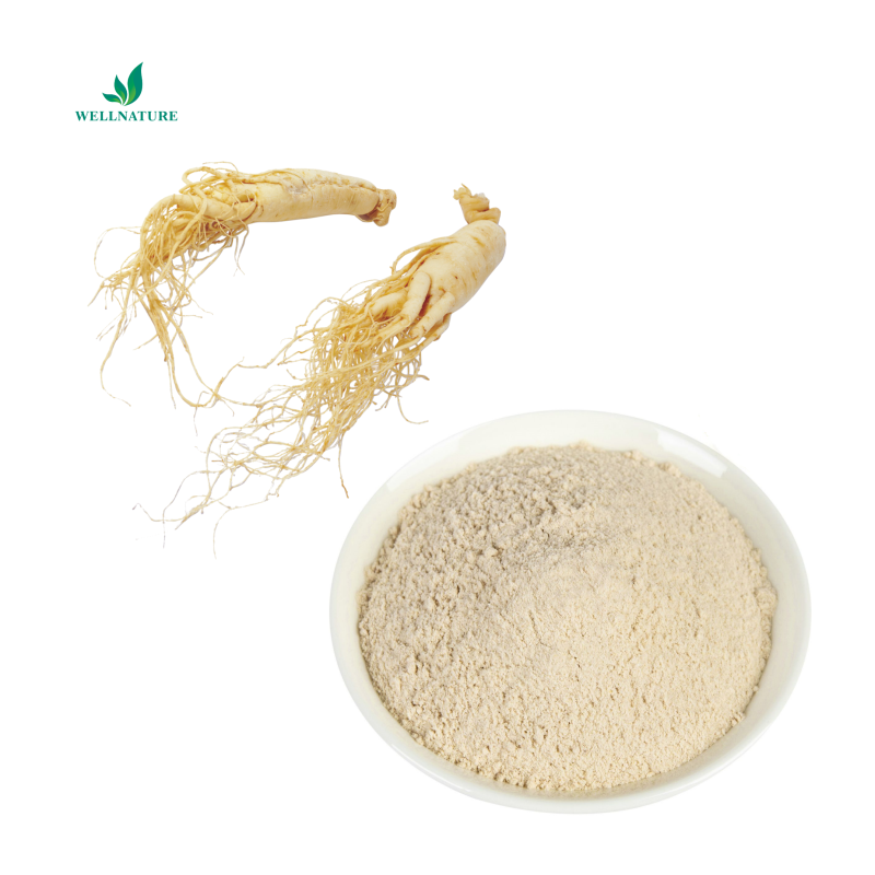 Health Care Panax Ginseng Root Extract Powder Ginsenoside 10% Salidroside