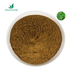 Wholesale Factory Supply Devil 's Claw Extract Powder Devils Claw Extract 5%-20% Harpagoside