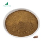 Good Selling 10:1 Cistanche Tubulosa Extract Powder Kopen Cistanche Tubulosa Extract