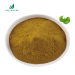 Herbal Extract Natural Organic Ginkgo Biloba Extract 24% Flavonoids Ginkgo Leaf Extract Powder