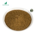 Free Sample Factory Direct Sale Parthenolide 0.3% 0.8% Parthenolide Feverfew Extract Powder