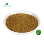 Wholesale Factory Supply Devil 's Claw Extract Powder Devils Claw Extract 5%-20% Harpagoside