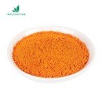 Wholesale Price Organic Marigold Flower Extract Zaxanthin Lutein Powder