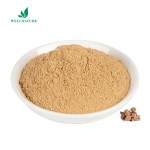 Wellnature Supply Water Souble Black Maca Extract 10:1 Organic Maca Root Extract Powder in Bulk