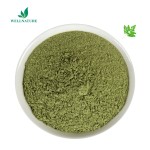 100% Natural Moringa Oleifera Seed Extract Capsules Machine Moringa Extract Supplier