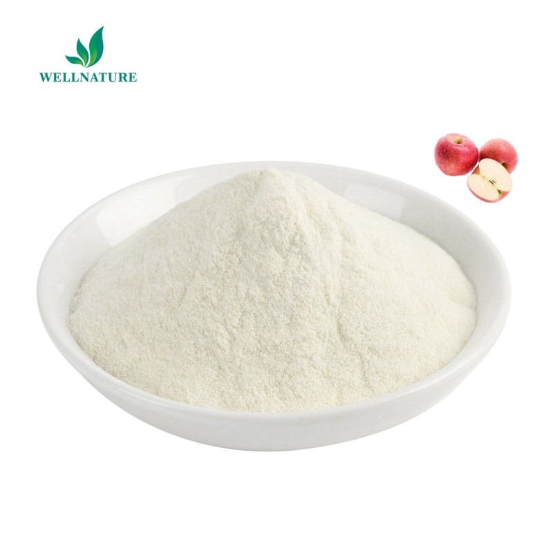 Food Grade Tabilizer Citric Pectin Apple Pectin Apple Pectin Powder 124843-18-1