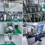 Factory Supply Tea Seed Extract Tea Saponin 60% 98% Tea Saponin Powder