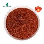 Wholesale Bulk Tomato Extract Powder Spray Dried Organic Tomato Powder