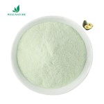 Factory Supply Natural Organic Freeze Dried Avocado Leaf Powder Extract
