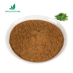 Wholesale Andrographis Paniculata Leaf Extract Andrographis Powder 30%