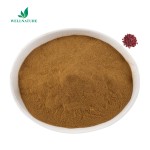 ISO Certified Organic Adzuki Bean Extract Powder Bulk Red Kidney Bean Extract