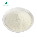 Food Grade Tabilizer Citric Pectin Apple Pectin Apple Pectin Powder 124843-18-1