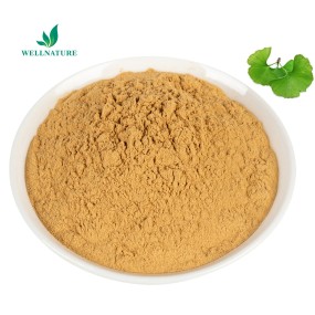 Wholesale Price Grade Ginkgo Leaf Extract Organic Ginkgo Biloba Extract Powder Gingko Extract