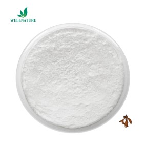 Herbal Plant Pueraria Mirifica Extract Puerarin Kudzu Extract Puerarin 98% Powder