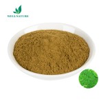 Wholesale Food Additive Free Sample Moringa Leaf Powder Moringa Leaf Extract Powder