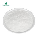 Herbal Plant Pueraria Mirifica Extract Puerarin Kudzu Extract Puerarin 98% Powder