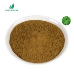 Wholesale Factory Supply Devil 's Claw Extract Powder Devils Claw Extract 5%-20% Harpagoside