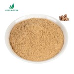 Wellnature Supply Water Souble Black Maca Extract 10:1 Organic Maca Root Extract Powder in Bulk
