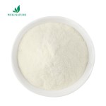 Food Grade Tabilizer Citric Pectin Apple Pectin Apple Pectin Powder 124843-18-1