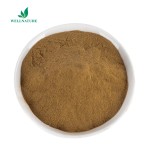 Good Selling 10:1 Cistanche Tubulosa Extract Powder Kopen Cistanche Tubulosa Extract