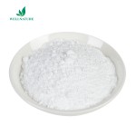 High Quality Dehydrated Garlic Powder 1% Alicin Organic Garlic Powder Bulk