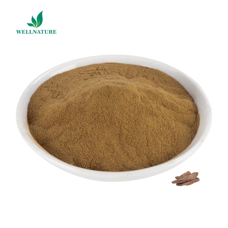 Good Selling 10:1 Cistanche Tubulosa Extract Powder Kopen Cistanche Tubulosa Extract
